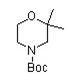 tert-butyl 2,2-dimethylmorpholine-4-carboxylate